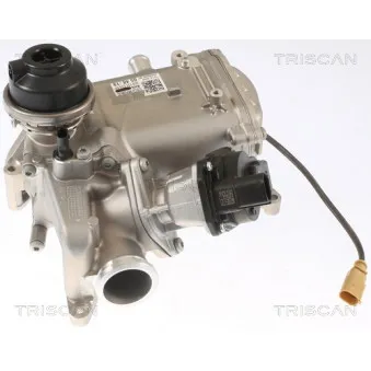 Vanne EGR TRISCAN