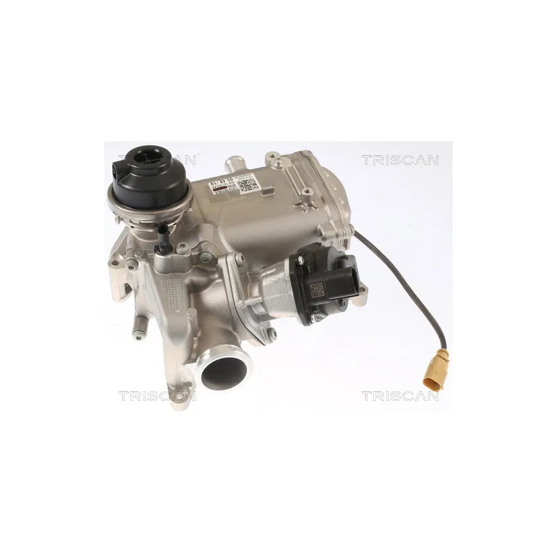 Vanne EGR TRISCAN 8813 29013