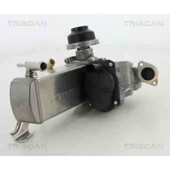 Vanne EGR TRISCAN