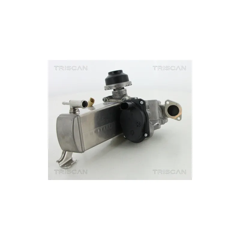 Vanne EGR TRISCAN 8813 29071