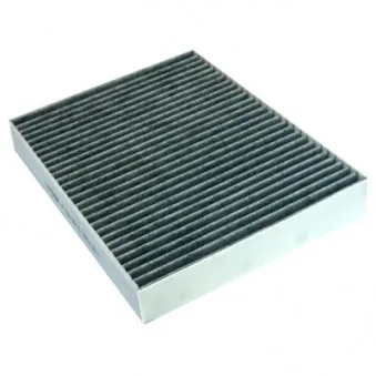 Filtre, air de l'habitacle HOFFER 17529K