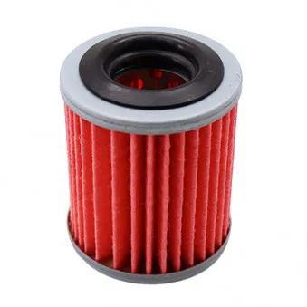 Filtre hydraulique, boîte automatique HOFFER