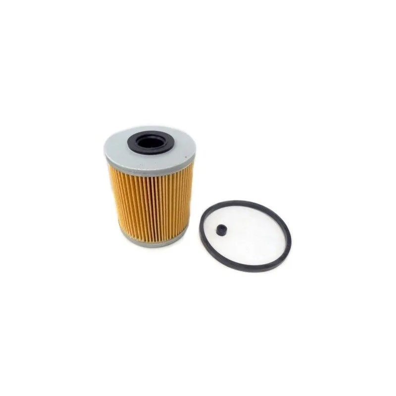 Filtre à carburant HOFFER 4229