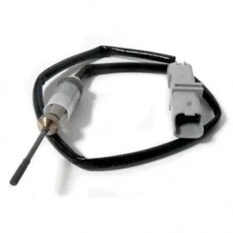 Capteur, température des gaz HOFFER 7451902