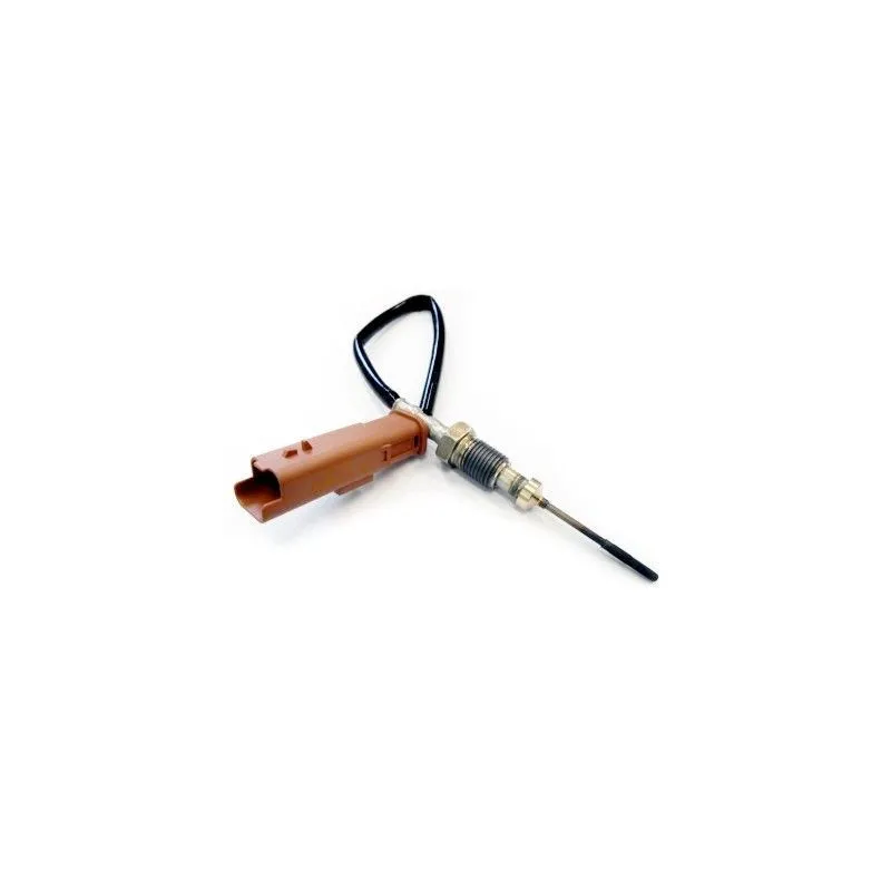 Capteur, température des gaz HOFFER 7451903