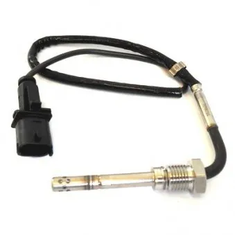 Capteur, température des gaz HOFFER 7451906