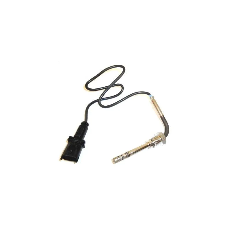 Capteur, température des gaz HOFFER 7451908