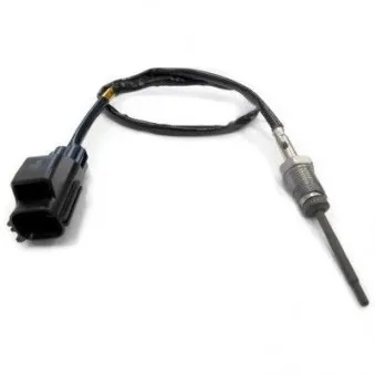 Capteur, température des gaz HOFFER 7451913