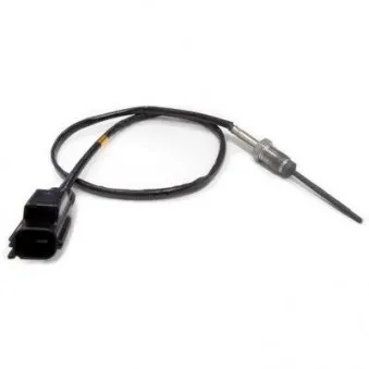 Capteur, température des gaz HOFFER 7451915