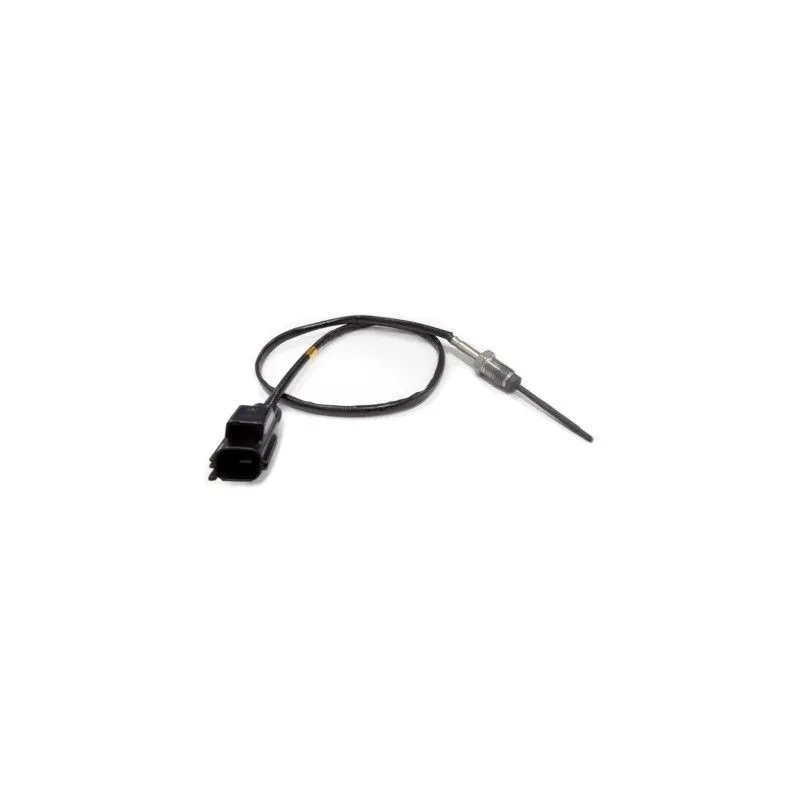 Capteur, température des gaz HOFFER 7451915