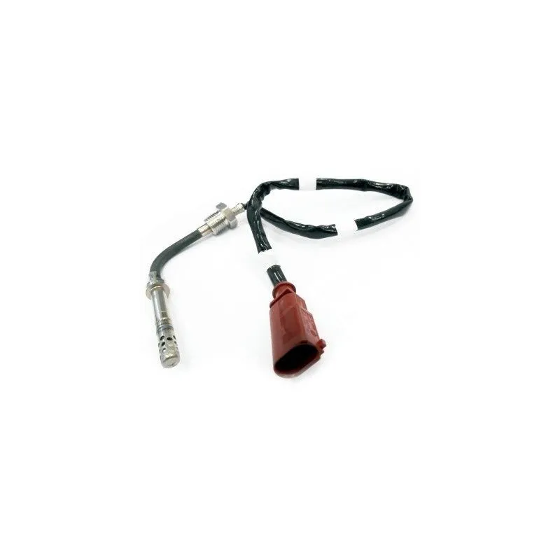 Capteur, température des gaz HOFFER 7451918