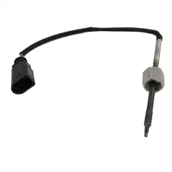 Capteur, température des gaz HOFFER 7451919E