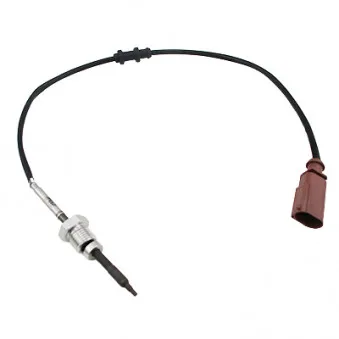 Capteur, température des gaz HOFFER