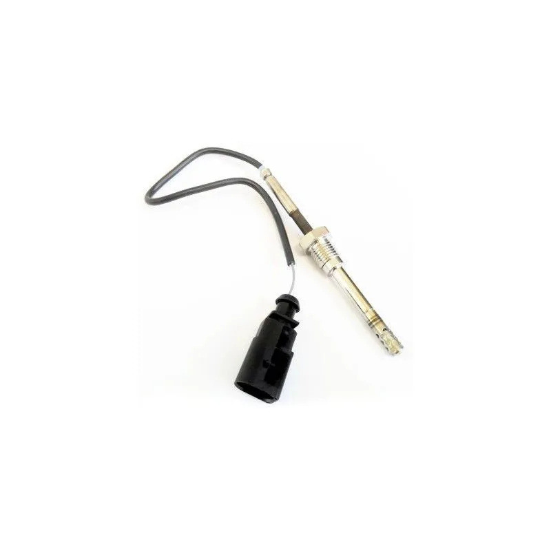 Capteur, température des gaz HOFFER 7451939