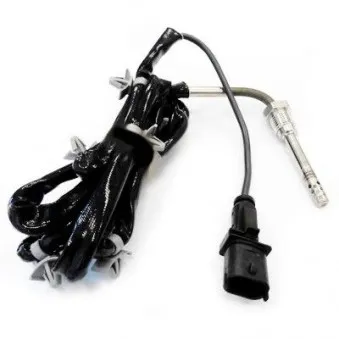 Capteur, température des gaz HOFFER