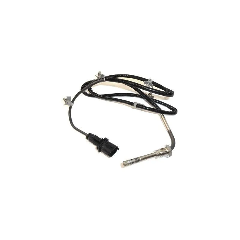 Capteur, température des gaz HOFFER 7451945