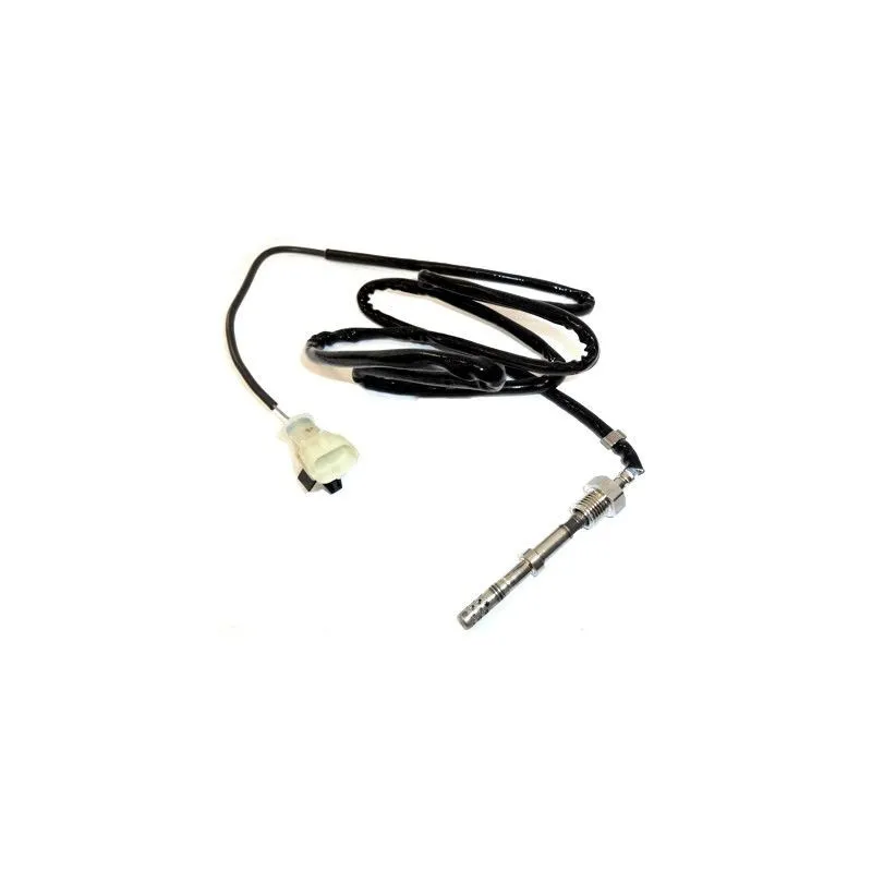 Capteur, température des gaz HOFFER 7451947