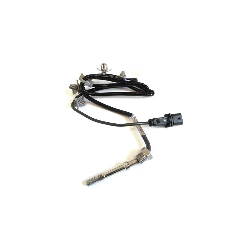 Capteur, température des gaz HOFFER 7451952