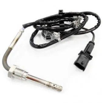 Capteur, température des gaz HOFFER