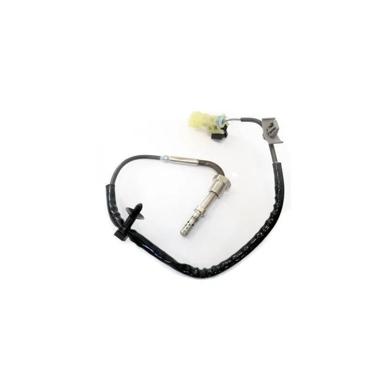 Capteur, température des gaz HOFFER 7451954