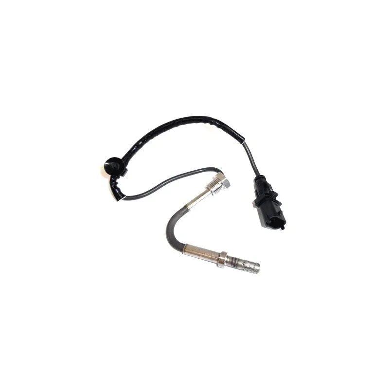 Capteur, température des gaz HOFFER 7451955