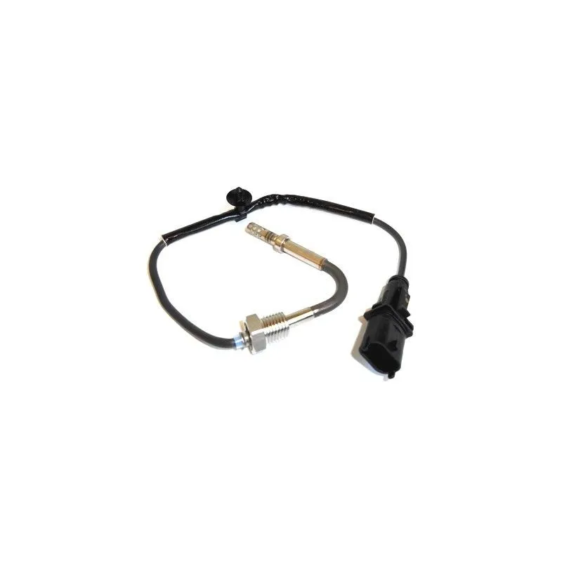 Capteur, température des gaz HOFFER 7451956