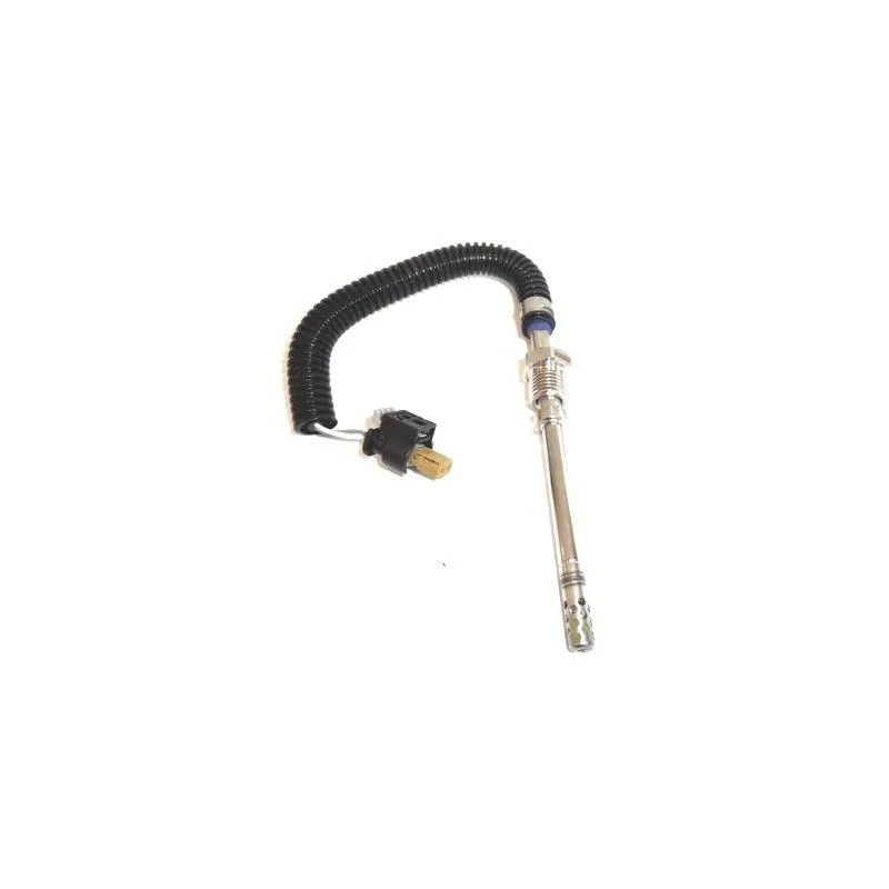 Capteur, température des gaz HOFFER 7451962