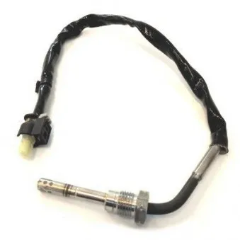 Capteur, température des gaz HOFFER 7451963