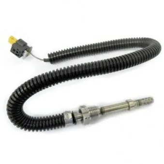 Capteur, température des gaz HOFFER