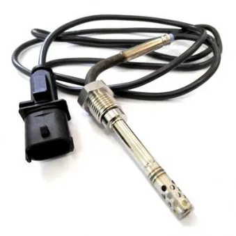 Capteur, température des gaz HOFFER