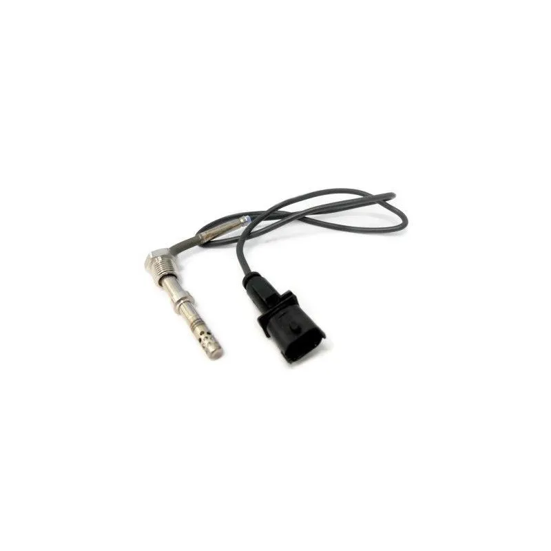 Capteur, température des gaz HOFFER 7451994