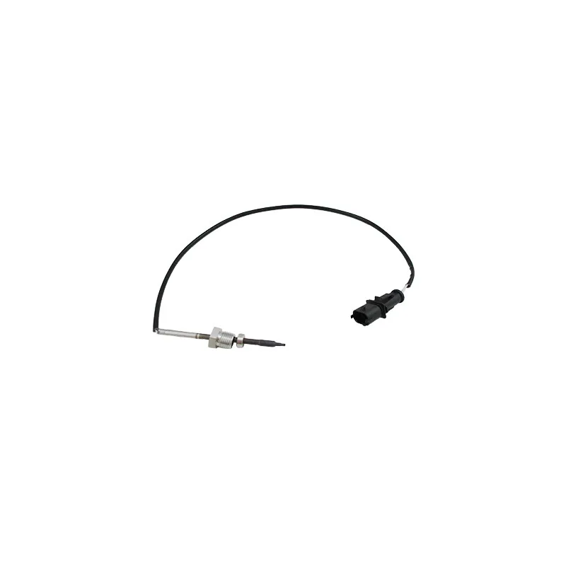 Capteur, température des gaz HOFFER 7451996