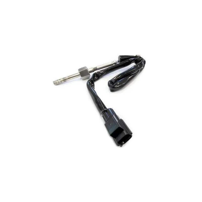 Capteur, température des gaz HOFFER 7452001