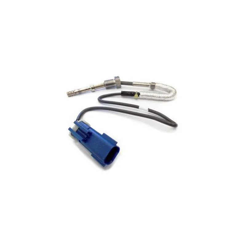 Capteur, température des gaz HOFFER 7452002