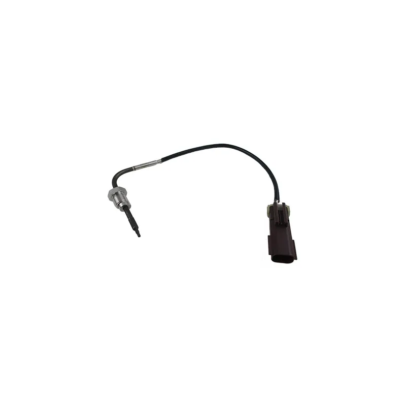 Capteur, température des gaz HOFFER 7452003