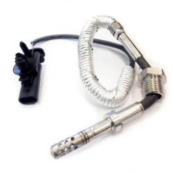 Capteur, température des gaz HOFFER