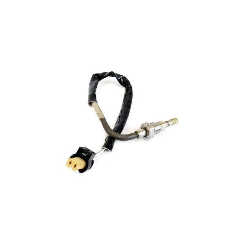 Capteur, température des gaz HOFFER 7452017