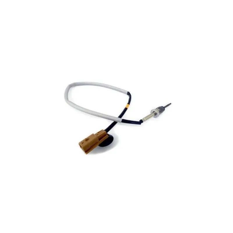 Capteur, température des gaz HOFFER 7452018