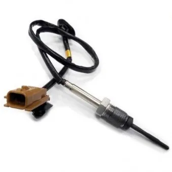 Capteur, température des gaz HOFFER 7452019