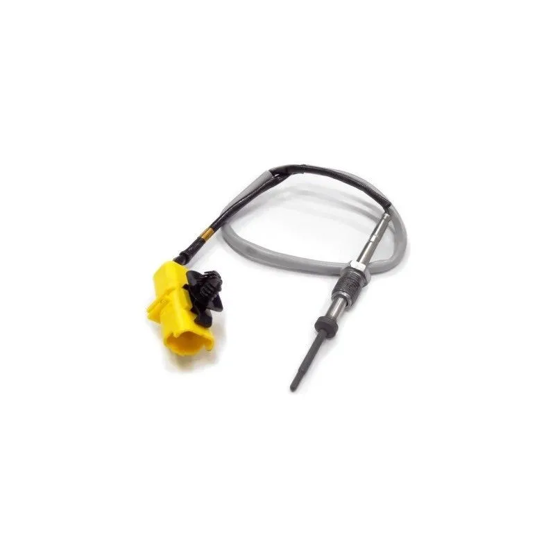 Capteur, température des gaz HOFFER 7452023