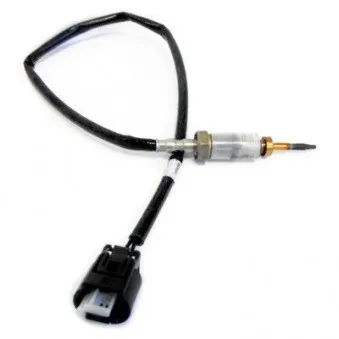 Capteur, température des gaz HOFFER 7452024