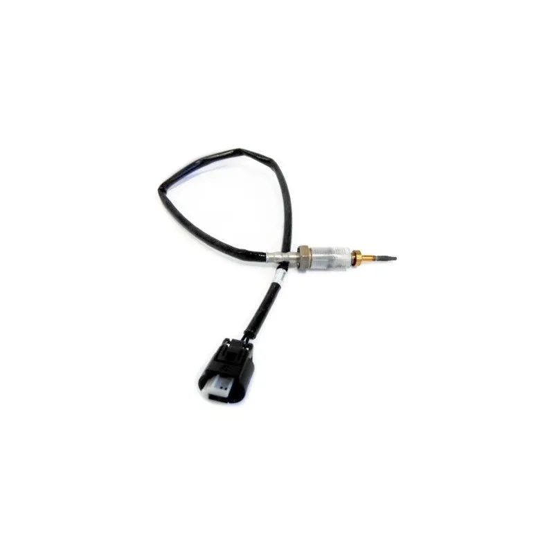 Capteur, température des gaz HOFFER 7452024
