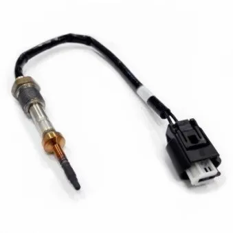 Capteur, température des gaz HOFFER 7452025