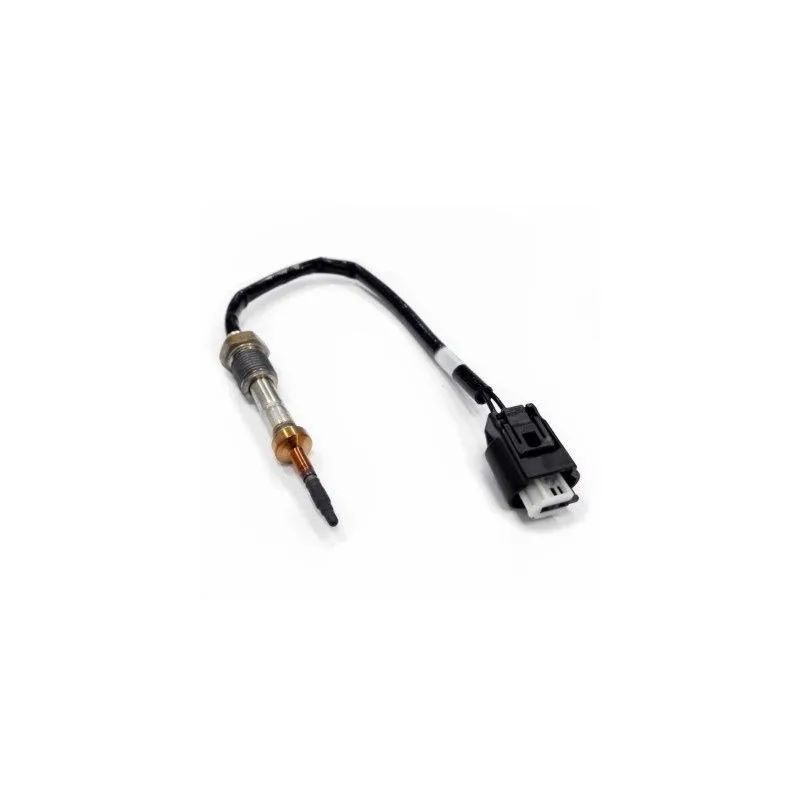 Capteur, température des gaz HOFFER 7452025