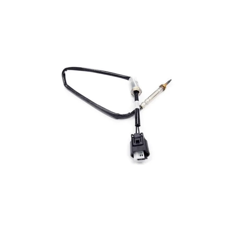 Capteur, température des gaz HOFFER 7452026