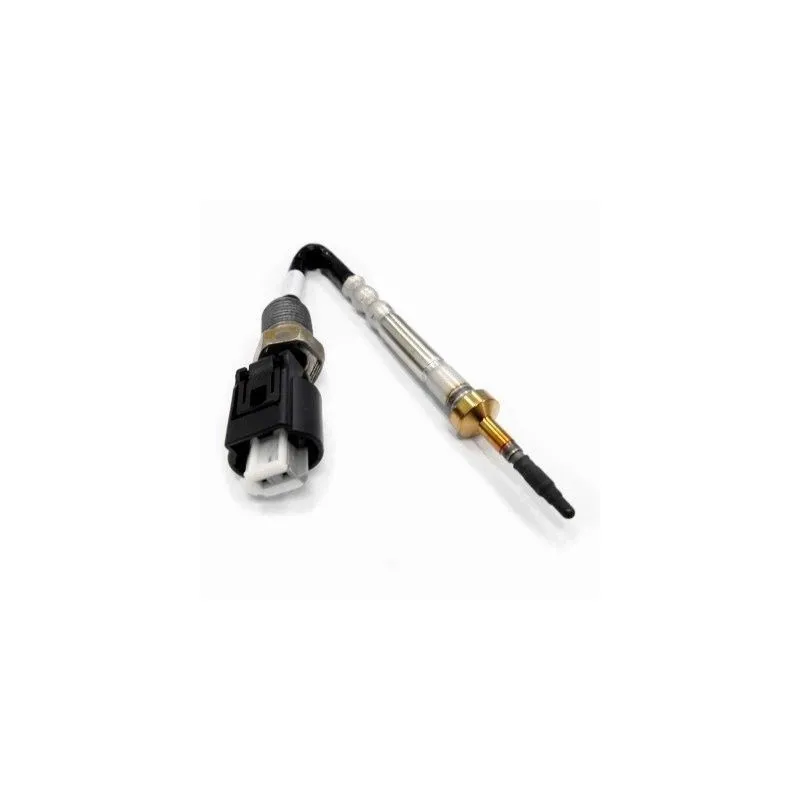 Capteur, température des gaz HOFFER 7452027