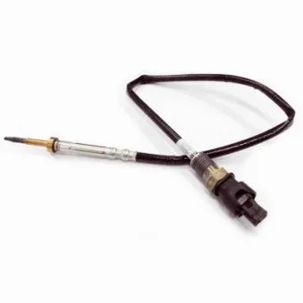 Capteur, température des gaz HOFFER 7452029