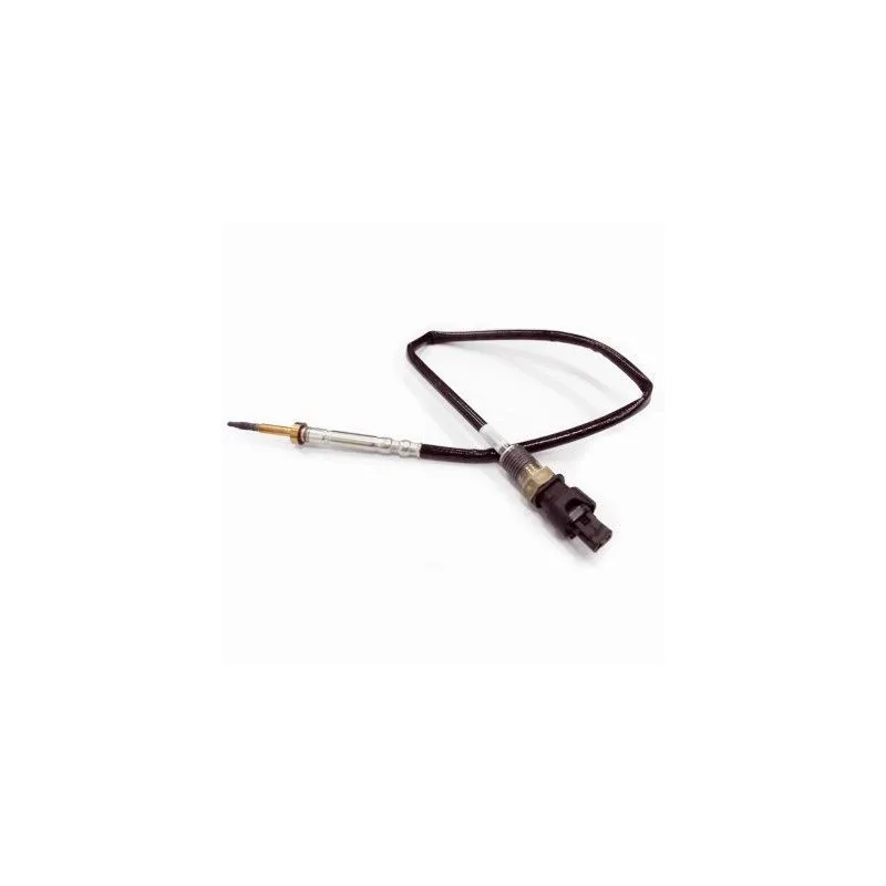 Capteur, température des gaz HOFFER 7452029