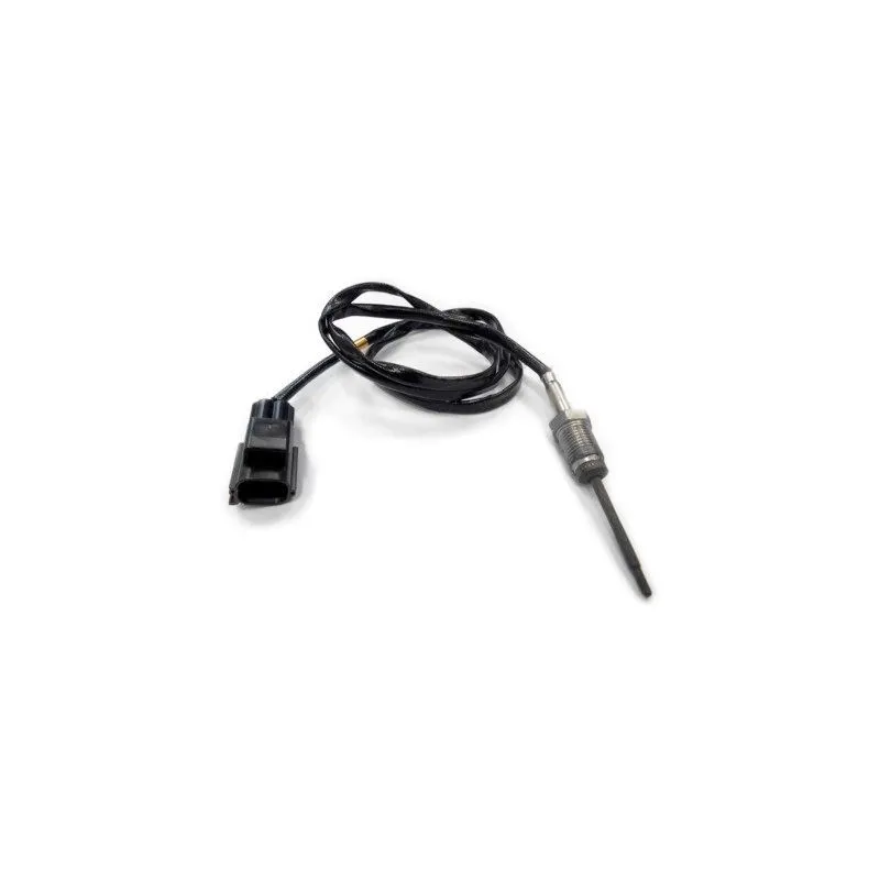 Capteur, température des gaz HOFFER 7452031
