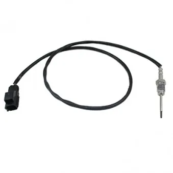 Capteur, température des gaz HOFFER 7452031E